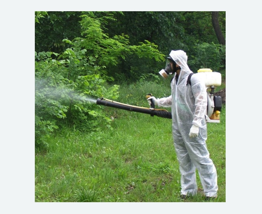 обработка территории от клещей в Кадникове