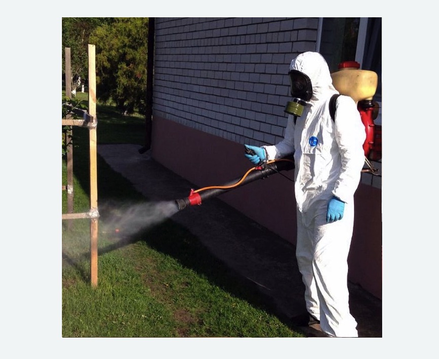 травля клещей на участке в Кадникове