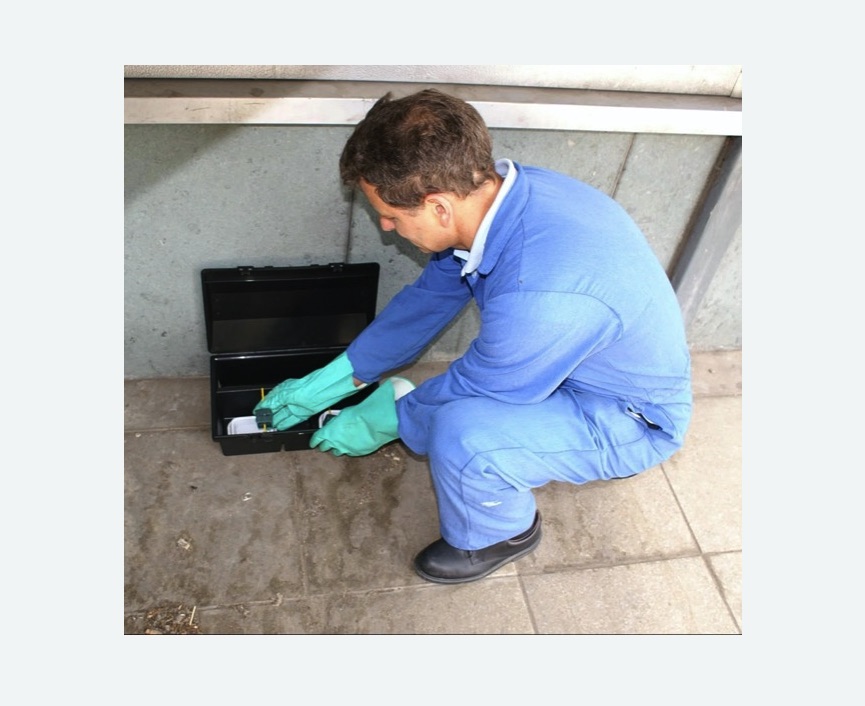 Дератизация помещения в Кадникове Дератизация помещения