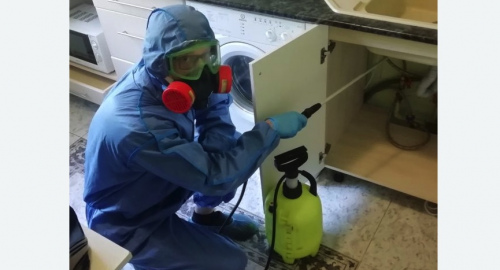 Уничтожение муравьев в квартире. Кадников