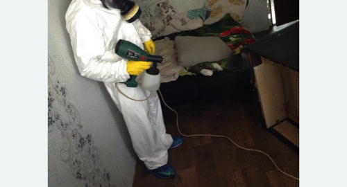 Обработка квартир от насекомых в Кадникове