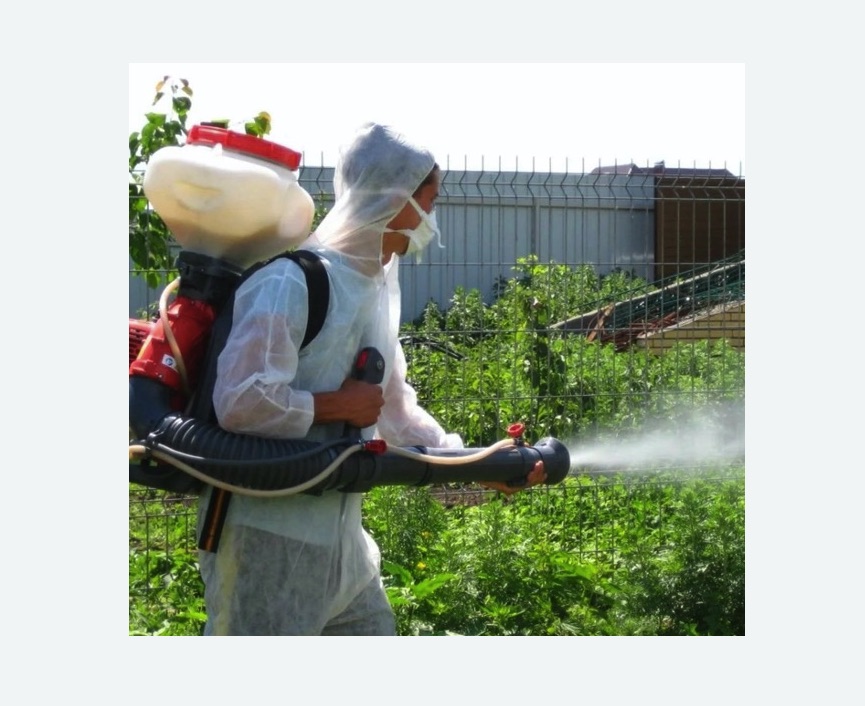 Акарицидная обработка территории в Кадникове