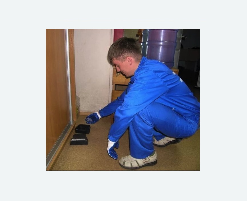 Дератизация крыс в Кадникове