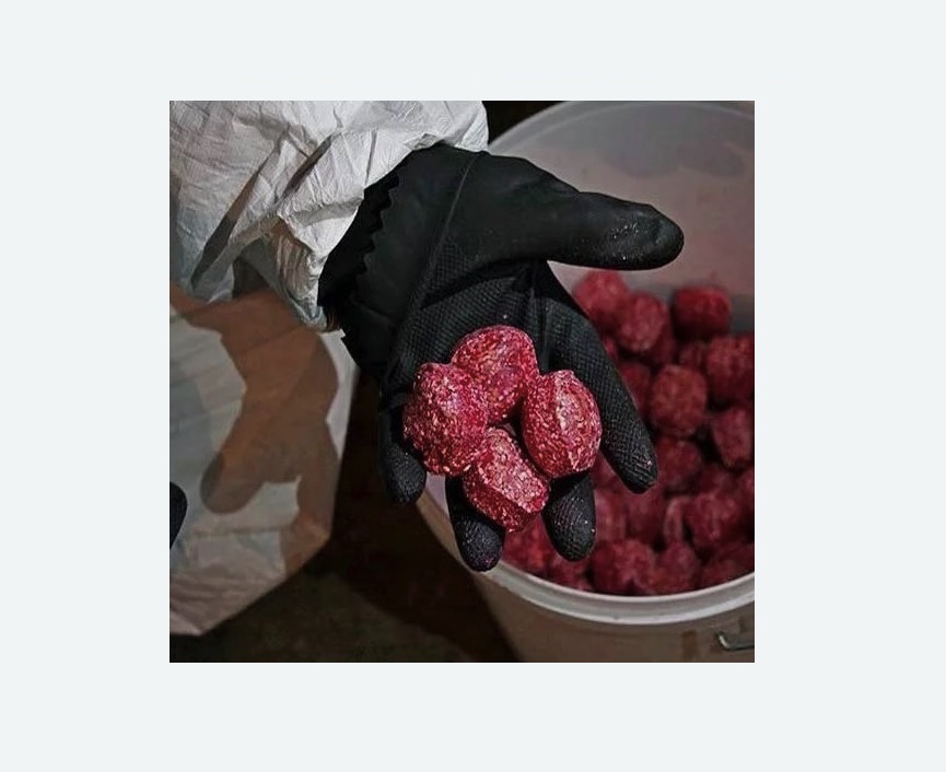 Обработка от крыс в Кадникове