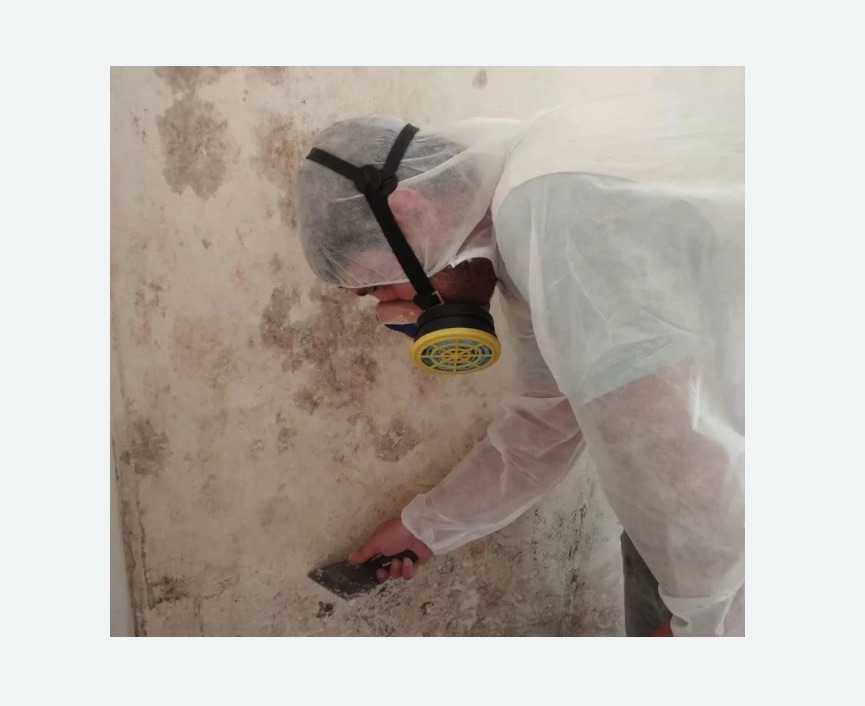 Обработка стен от плесени Обработка стен от плесени в Кадникове