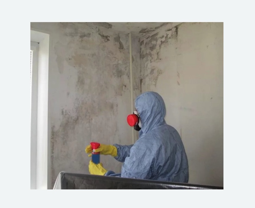 Удаление плесени в квартире Удаление плесени в квартире в Кадникове