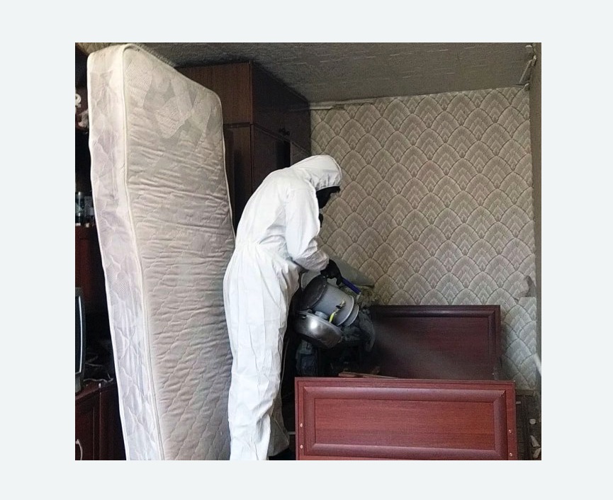 дезинфекция от клопов в Кадникове