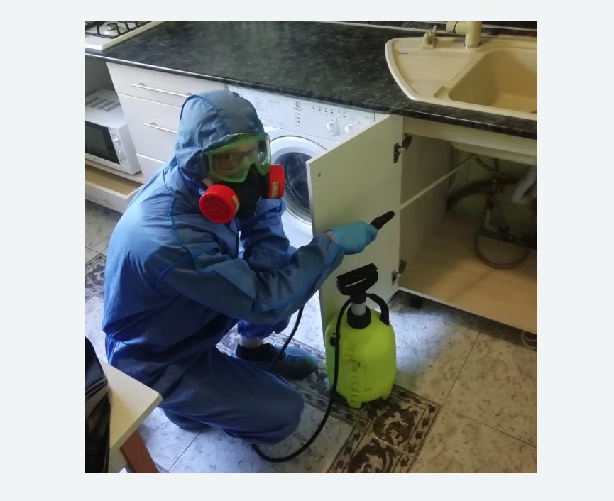 обработка от муравьев в квартире в Кадникове