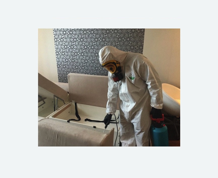 уничтожение клопов в квартире в Кадникове