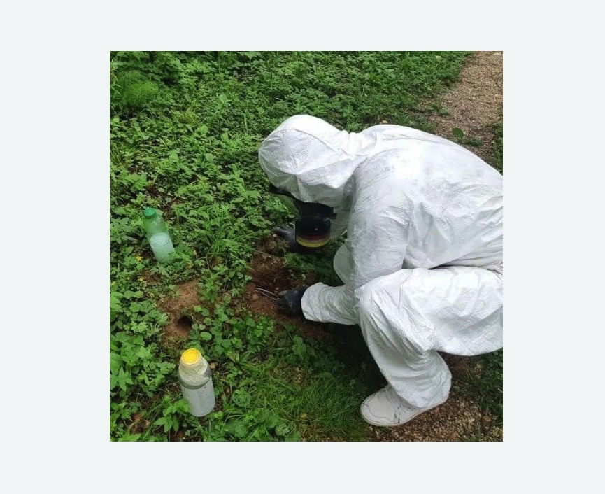 уничтожение кротов на участке в Кадникове