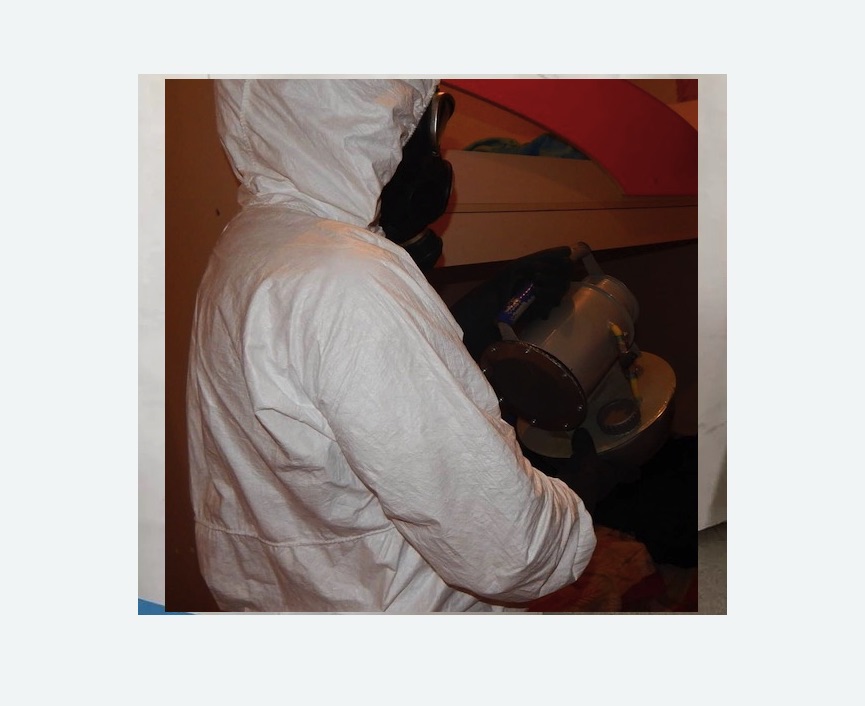 Дезинфекция от муравьев в Кадникове