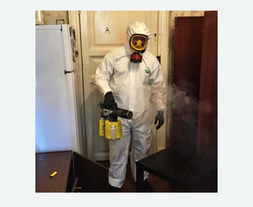 уничтожение муравьев в квартире в Кадникове